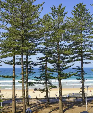 Geniesse Sydney abseits des Trubels